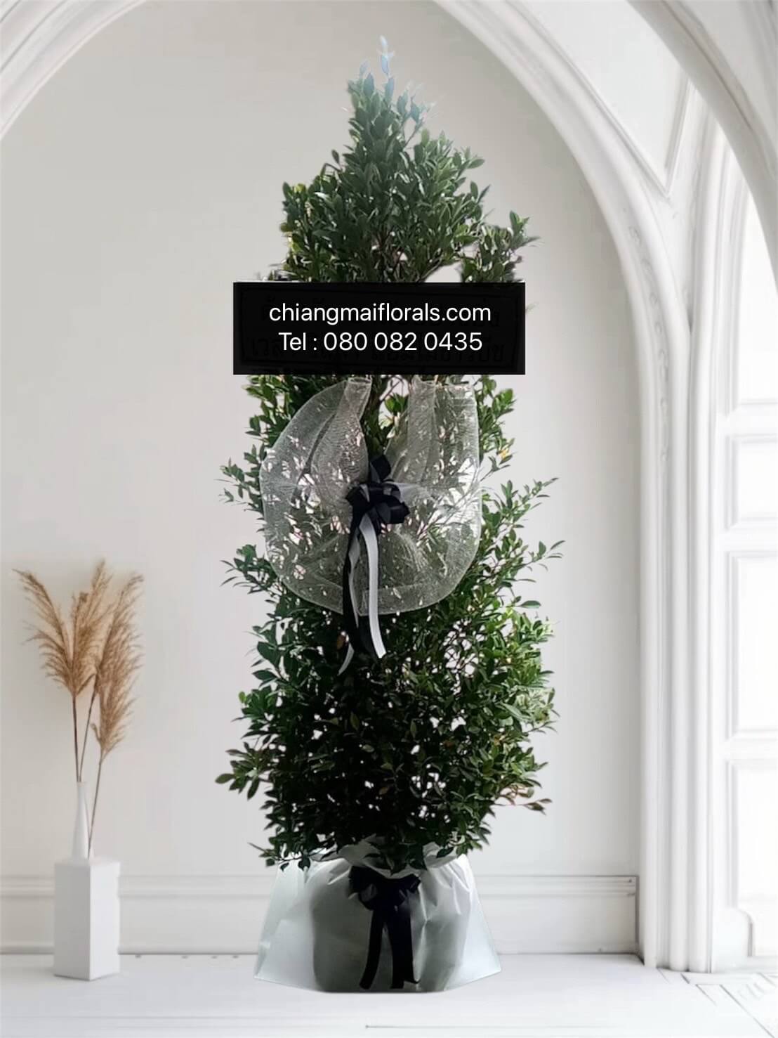 พวงหรีดต้นไม้ส่งทุกวัดในเชียงใหม่